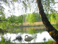 /album/fotogalerie/bildstoff-1821-jpg/